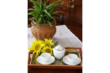 Italija Privát Venturina, Eksterijer